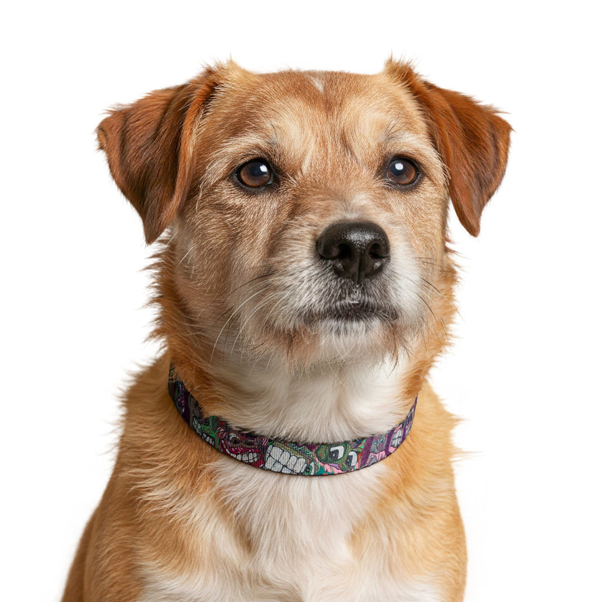Swamp Boogie Original Artwork — Adjustable Dog Collar
