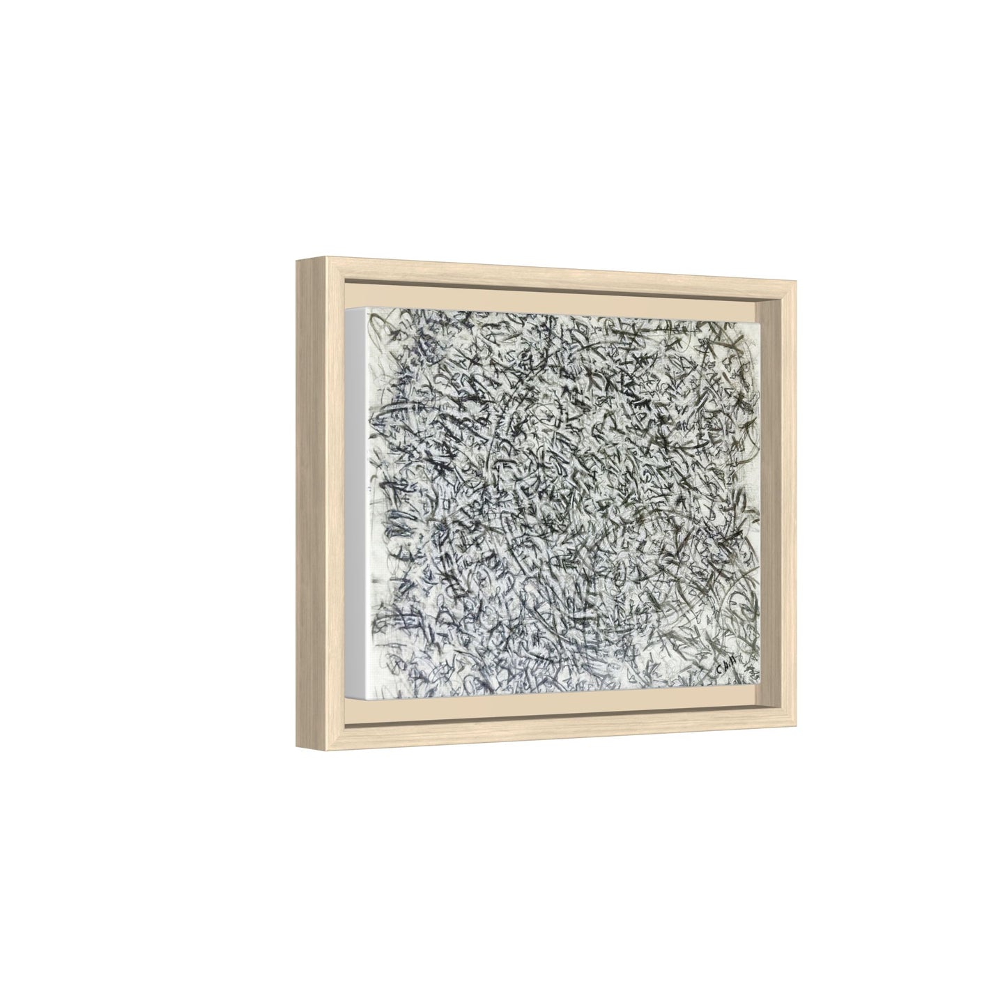 Abstract Feather Study Matte Canvas Framed Wall Art