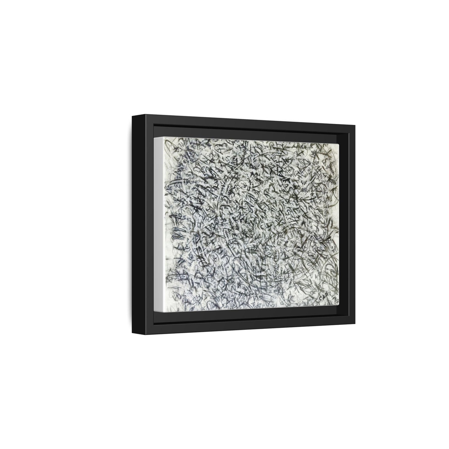 Abstract Feather Study Matte Canvas Framed Wall Art