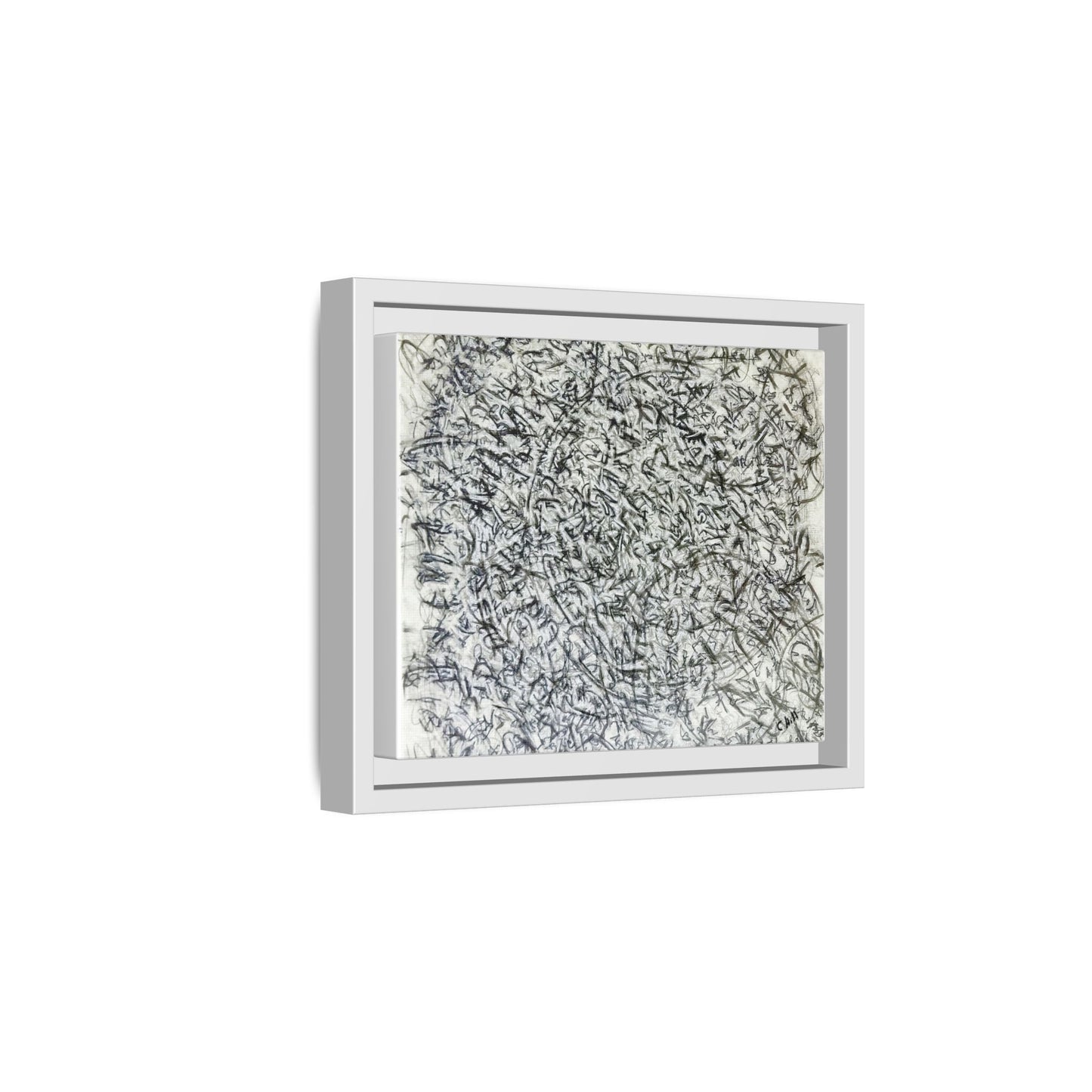 Abstract Feather Study Matte Canvas Framed Wall Art