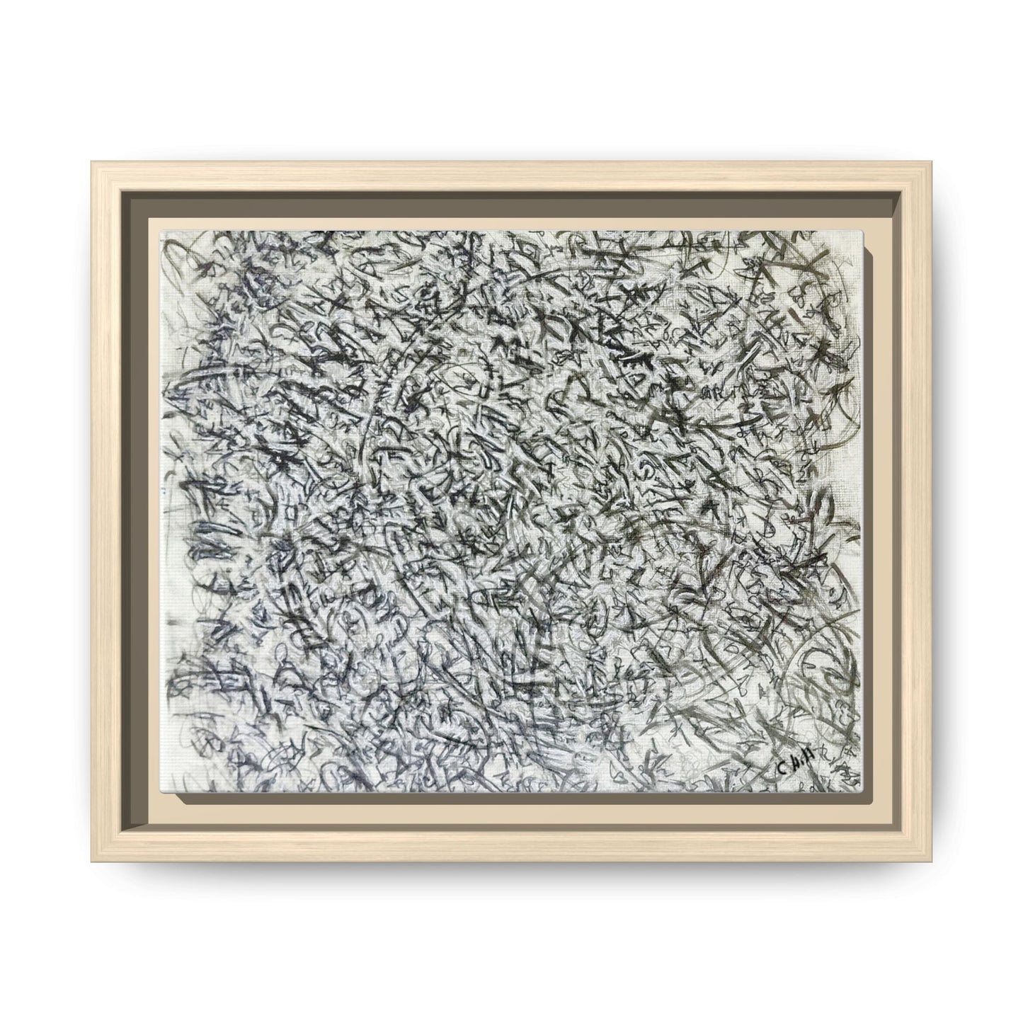 Abstract Feather Study Matte Canvas Framed Wall Art