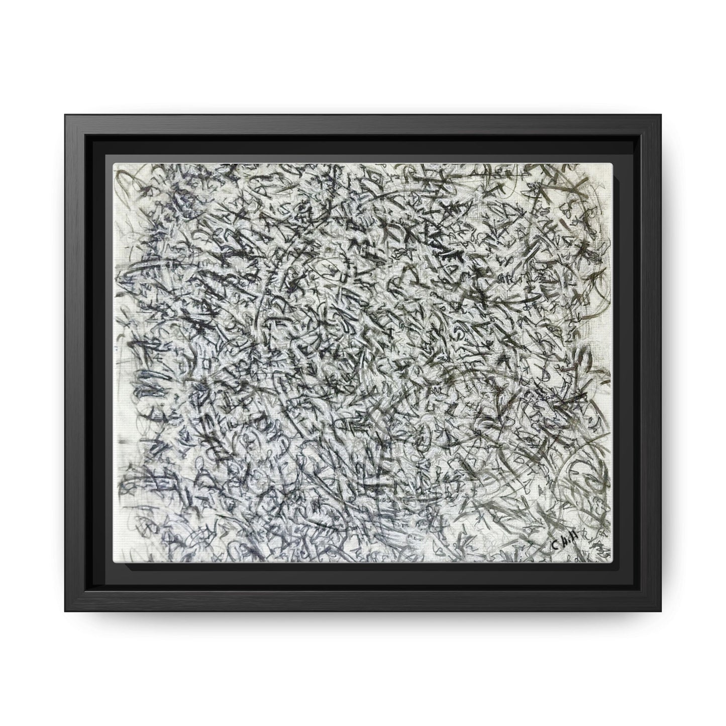 Abstract Feather Study Matte Canvas Framed Wall Art