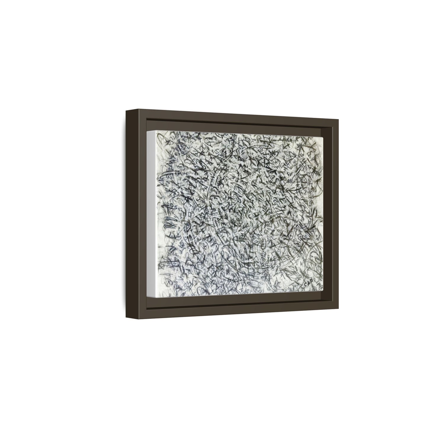 Abstract Feather Study Matte Canvas Framed Wall Art
