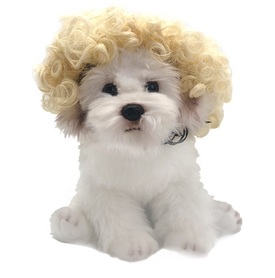 Human Hair Wig for your Dog.