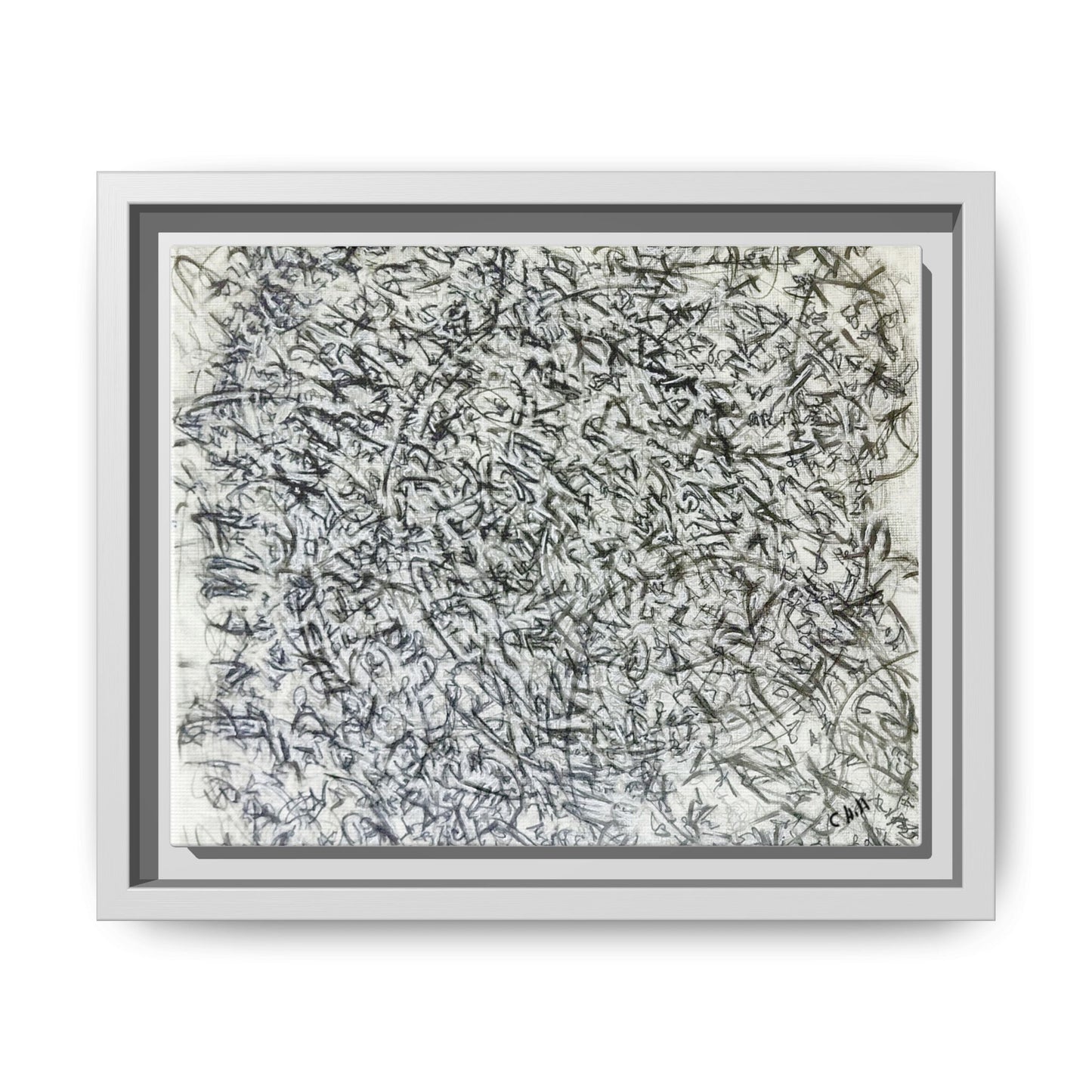 Abstract Feather Study Matte Canvas Framed Wall Art