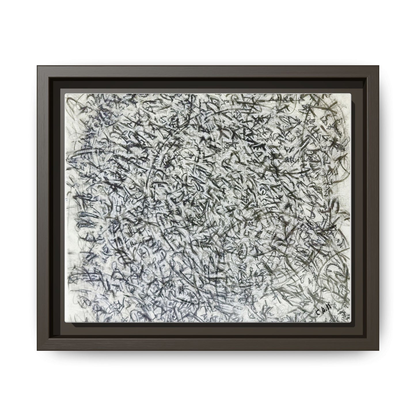 Abstract Feather Study Matte Canvas Framed Wall Art