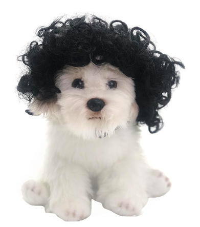 Human Hair Wig for your Dog.